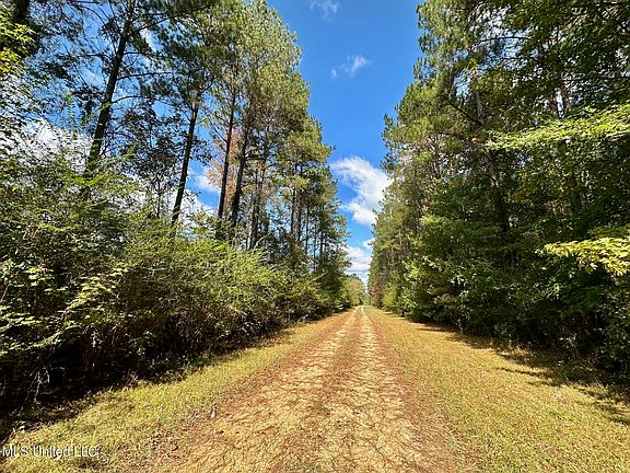 4th image of 0 County Road 472