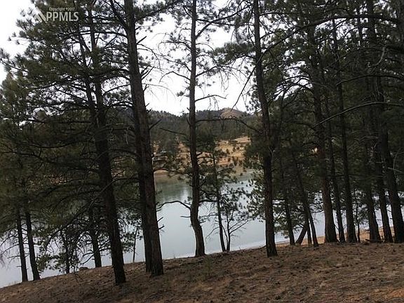 5th image of 15066 Pine Lake Dr