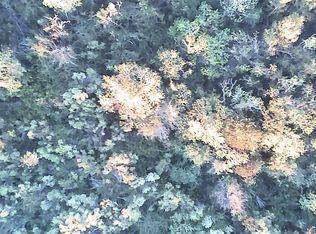 0 Buffalo Speedway, Houston, TX 77045