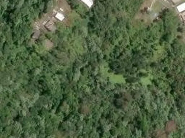 Carr 792 Km 3.8 Bo Sonadora, Aguas Buenas, PR 00703