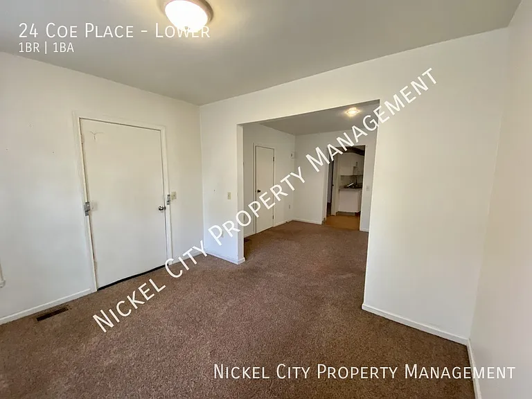 24 Coe Pl #LOWER — Photo 7