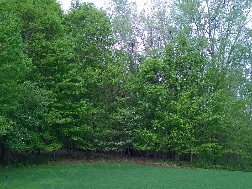 Early spring
