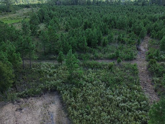 4th image of 0 Bethel Forest Rd Tract 2