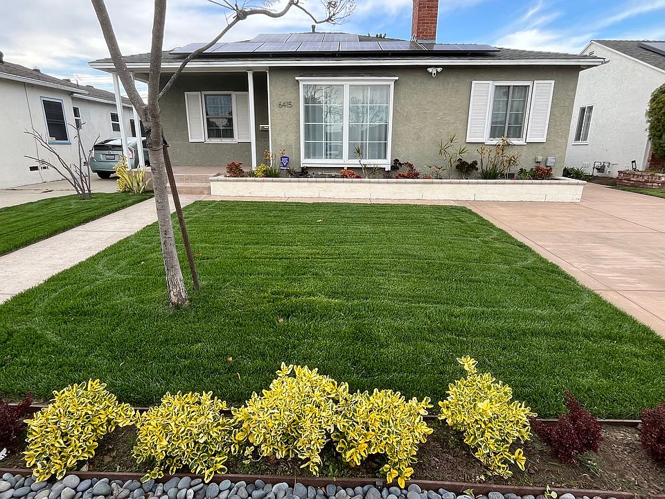 Front yard