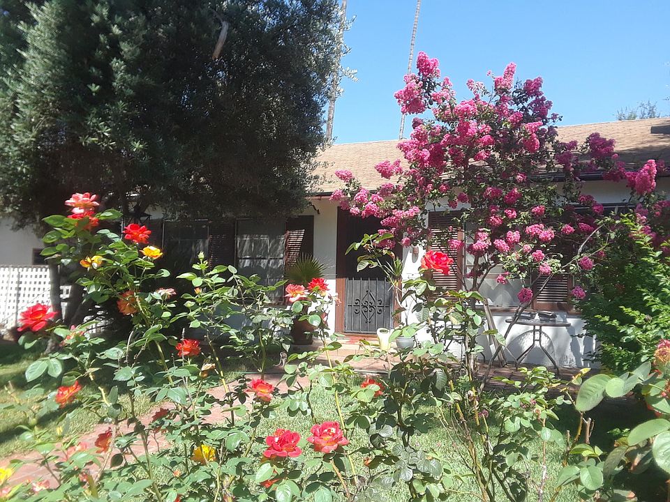 Summertime view