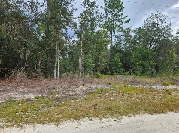 0000 NE 67TH STREET LOT 8, BRONSON, FL 32621