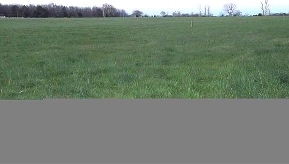 4th image of 0 Palmetto Mt