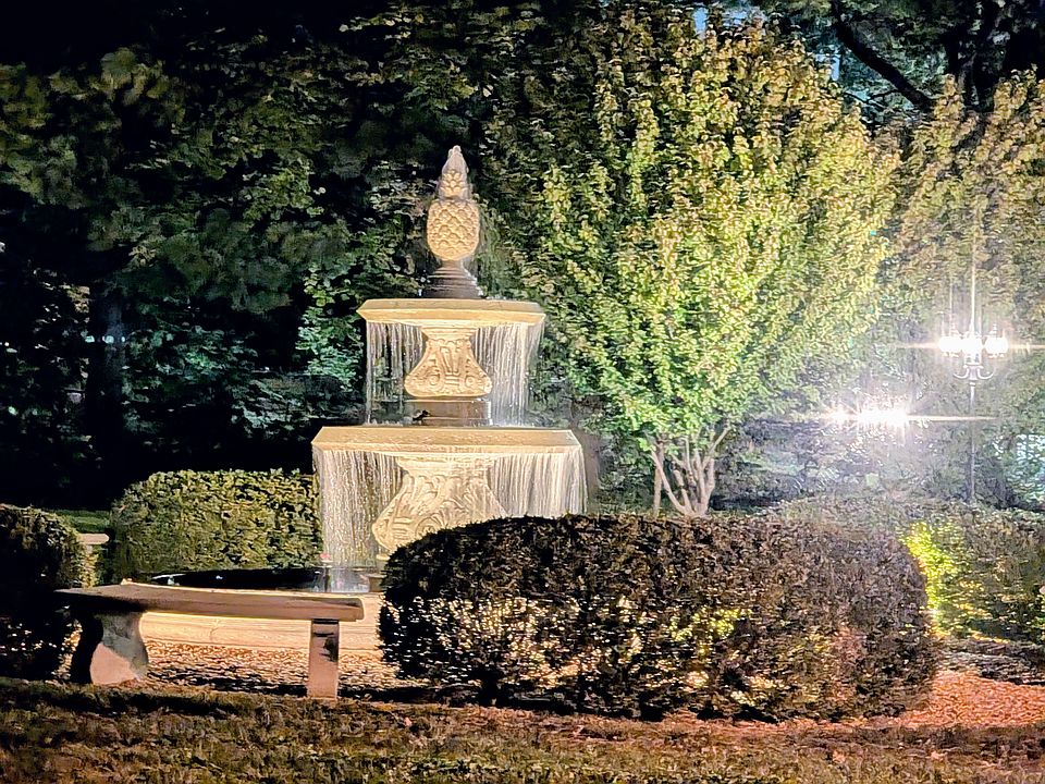 View from patio at night
