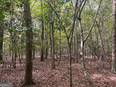 0 Club Rd, Toomsboro, GA, 31090