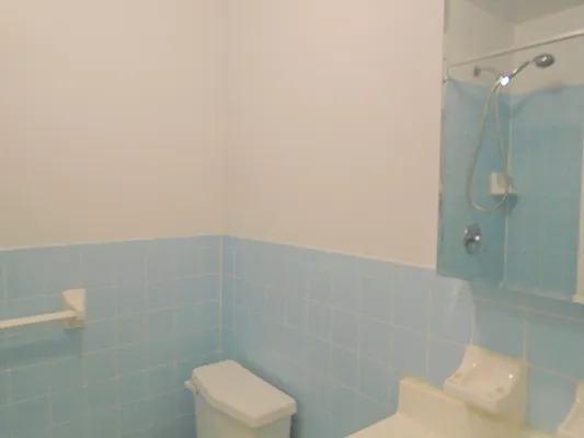 Rented by Prince Real Estate Associates LLC | media 11