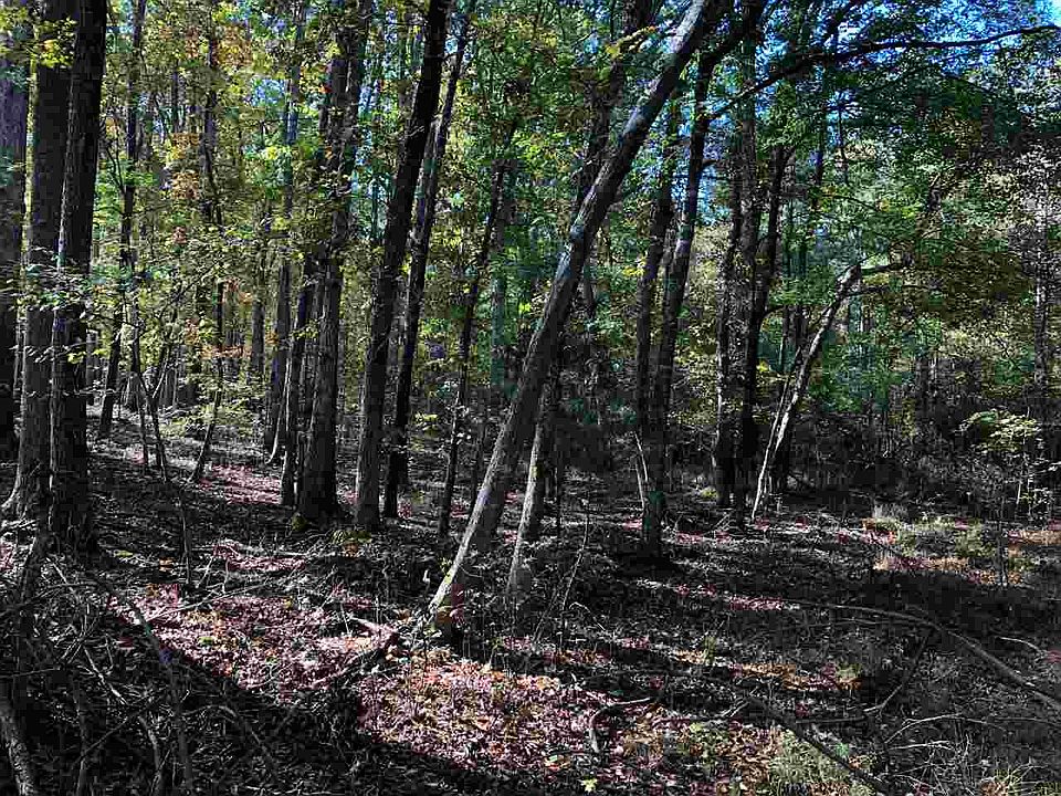2nd image of LOT 1 Caviness Jordan Rd Lot 1
