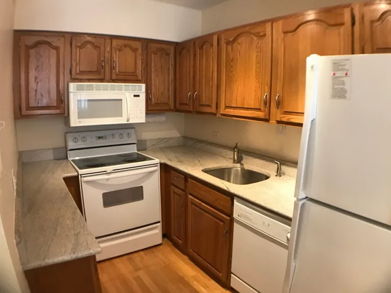 1550 N Lake Shore Dr #4D — Photo 8