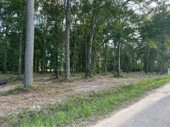 TRACT One 0 Blackburn Dr, Splendora, TX 77372