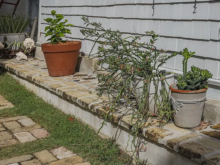 The Bonney — Photo 49