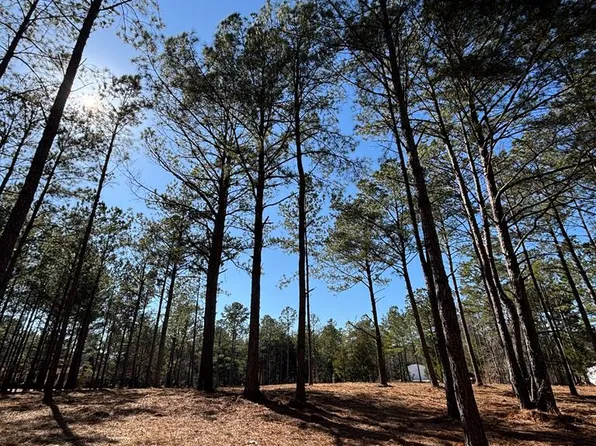 1047 Green Rd, Ellaville, GA 31806