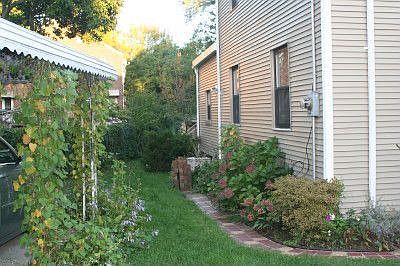 Landscaped Yard