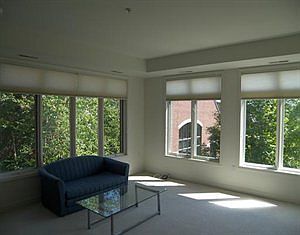 3rd image of 827 Asa Gray Dr APT 353