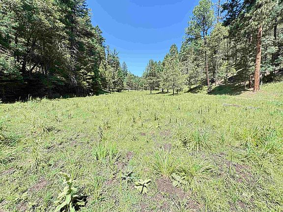4th image of 235 Dark Canyon Rd
