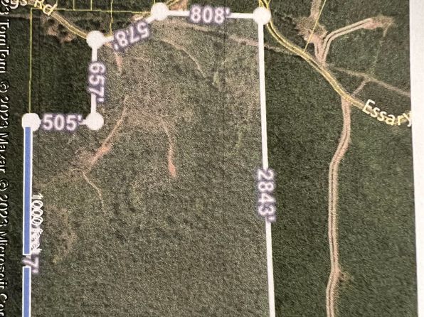 Essary Springs Rd, Pocahontas, TN 38061