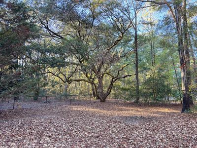 (Undisclosed Address), Johns Island, SC, 29455
