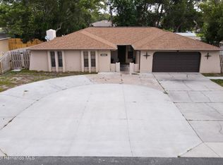 10199 Elgin Blvd, Spring Hill, FL 34608