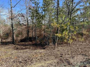 0 Chism Ln LOT 17, Beech Bluff, TN 38313