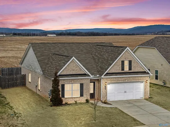 113 Story Ray Dr, New Market, AL 35761