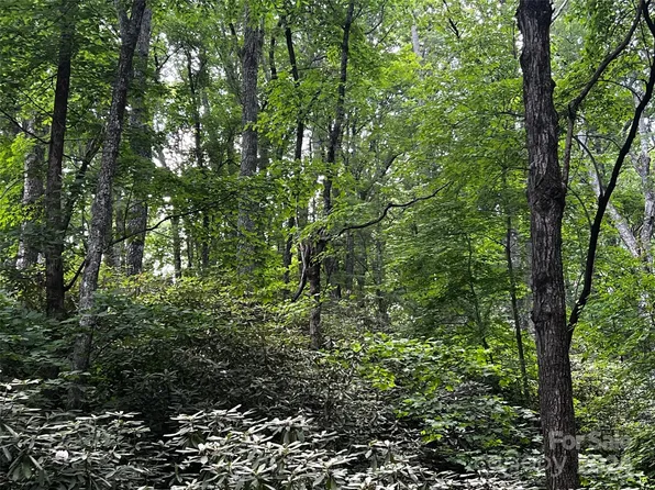 0 Huckleberry Mountain Rd, Hendersonville, NC 28792