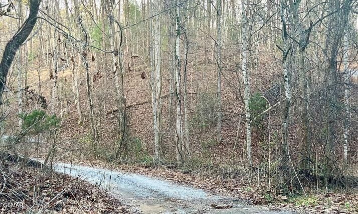 1st image of 6 Spotted Fawn Way Lot 6A