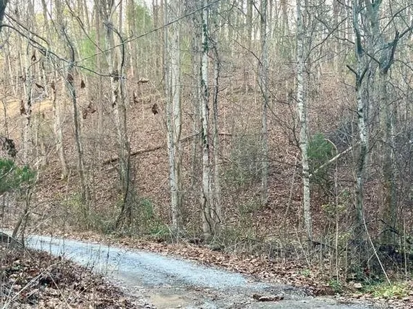 6 Spotted Fawn Way Lot 6A, Sevierville, TN 37876