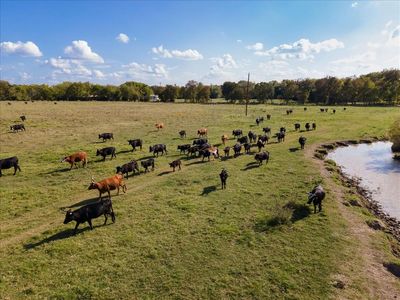 Fm 2737, Lone oak, TX, 75453