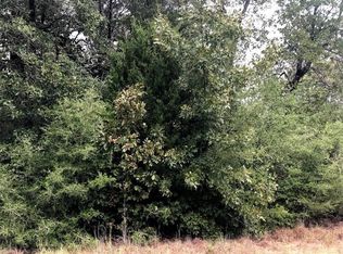 172 Roundup Rdg, Smithville, TX 78957