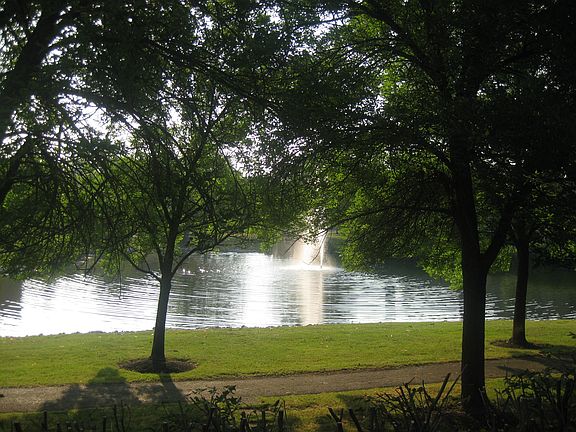 LAKE VIEW