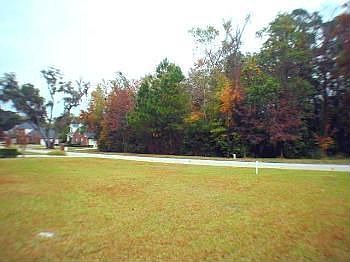 4th image of 11685 Thornapple Dr