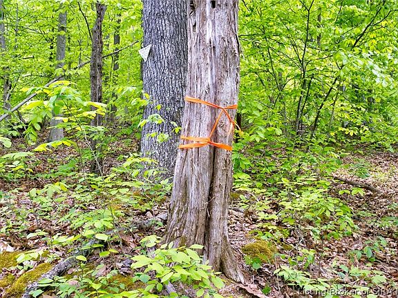 4th image of  Otterbein Road