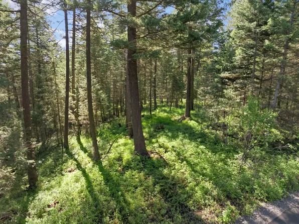 119 Stageline Ct, Whitefish, MT 59937