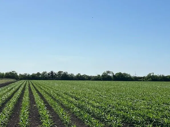 Unk N, Los Fresnos, TX 78566