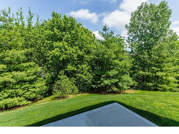 Tree Lined Lot