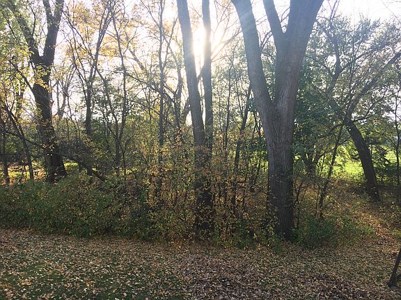 Backyard backs to school