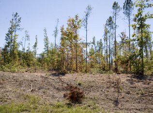 6 Coleman Chapel Rd TRACT 6, Bartow, GA 30413