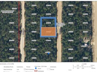 Double Lot Brett Ave #25, Interlachen, FL 32148