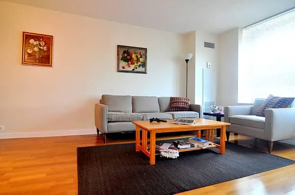 474 N Lake Shore Dr #2804 — Photo 4