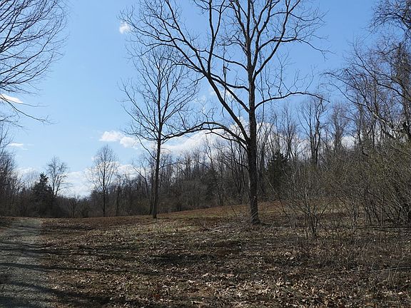 2nd image of Chestnut Tower Ln