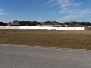 12423 Vestavia St, San Antonio, FL 33576