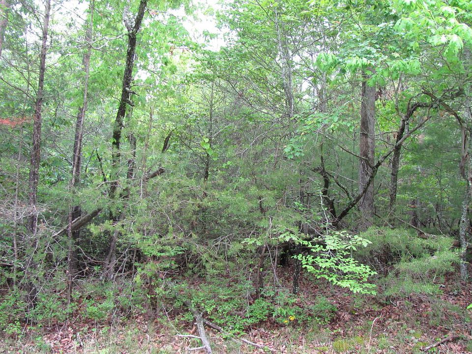 1st image of 40 Holly Ln