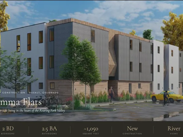 131 Emma Rd, Basalt, CO 81621