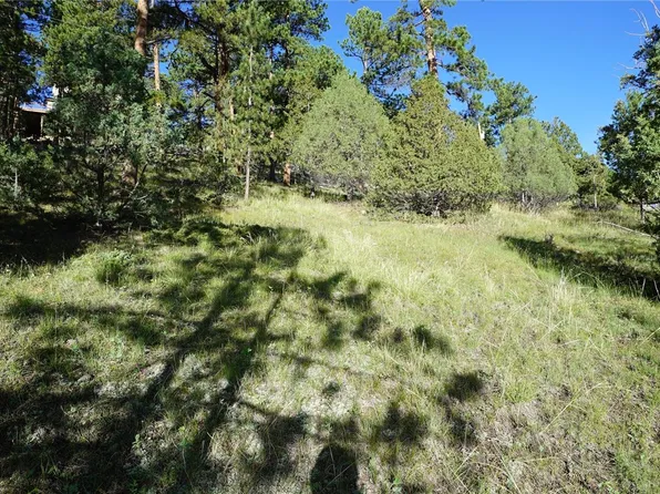 Bob Cat Trail, Bailey, CO 80421