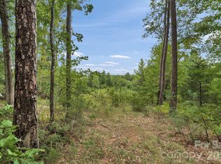 0 Mountain Rd, Cleveland, NC 27013