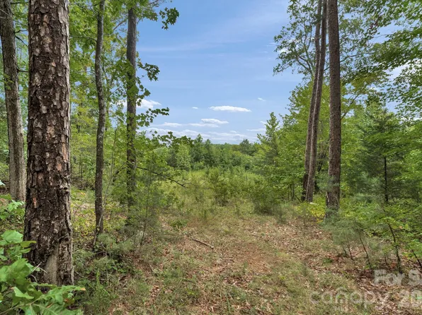 0 Mountain Rd, Cleveland, NC 27013