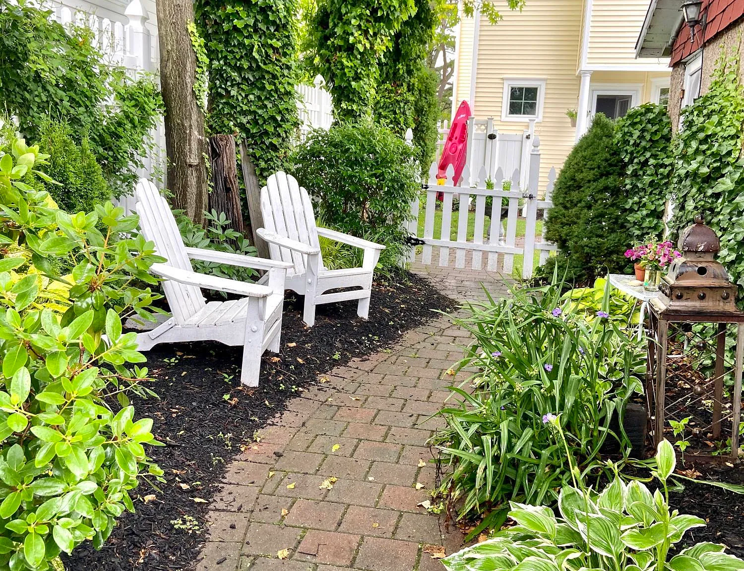 1 bed, $750 — Photo 2
